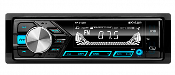 SKYLOR FP-312BT 1 DIN Multicolor