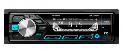 SKYLOR FP-312BT 1 DIN Multicolor