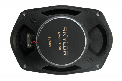 Aкустическая система SKYLOR EVOLUTION69 15х23 см(6х9 дюймов)