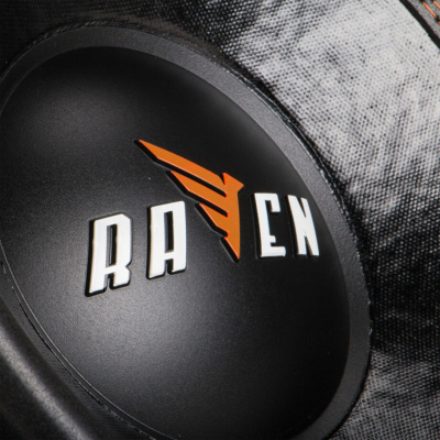 Динамик сабвуферный 12" DL Audio Raven 12